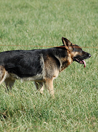 DSC_0673.jpg